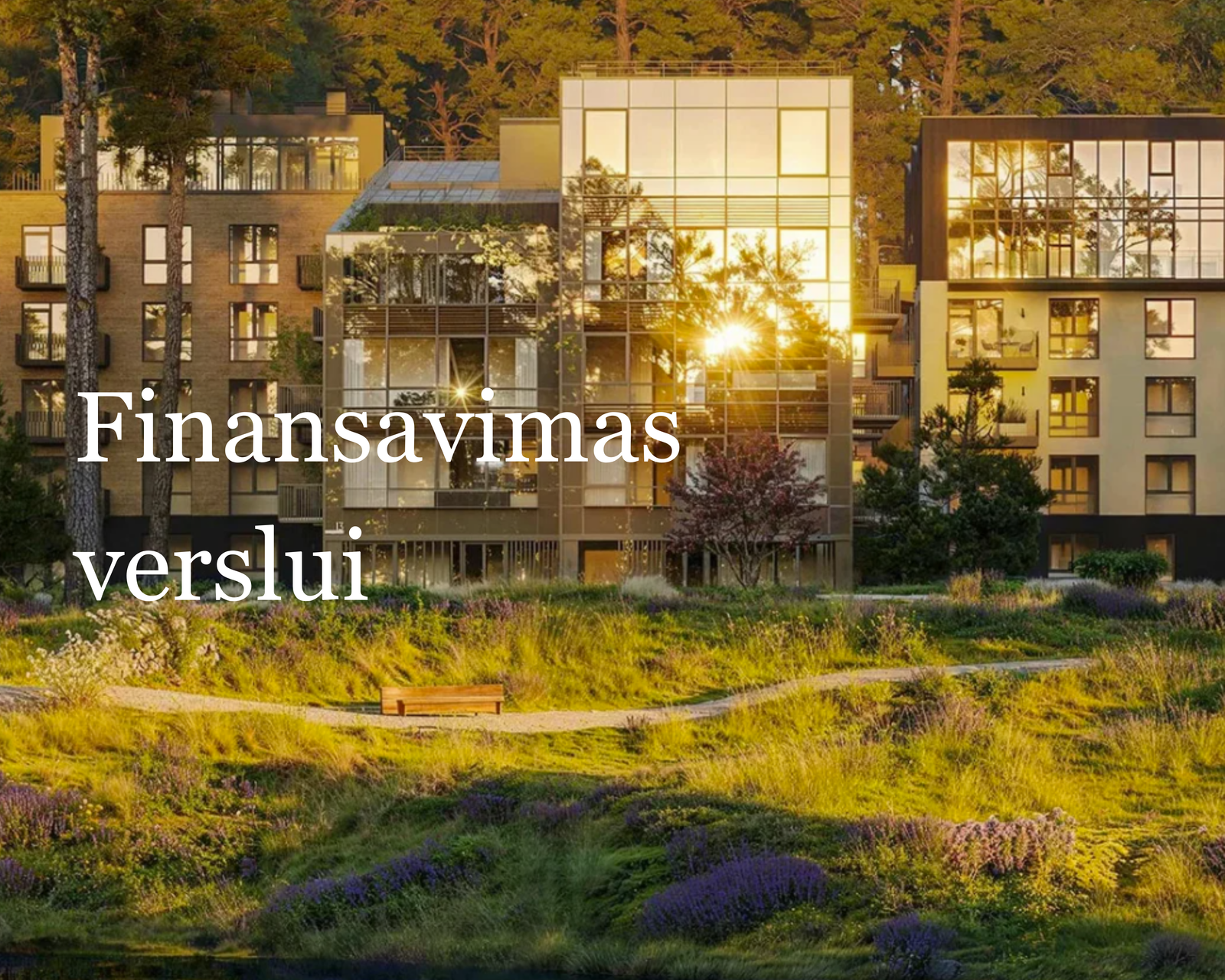 Kaip gauti finansavimą verslui? Pagrindiniai būdai ir galimybės